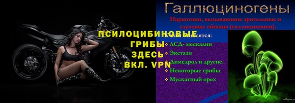 apvp Алзамай