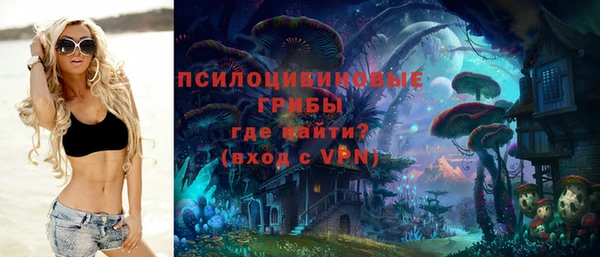 каннабис Майский