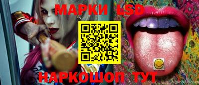 гидропоника Можайск
