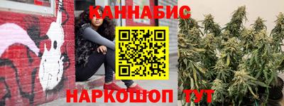 стаф Моздок