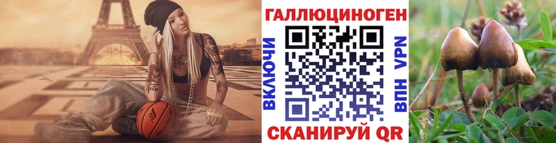 Галлюциногенные грибы Psilocybine cubensis сколько стоит Вологда